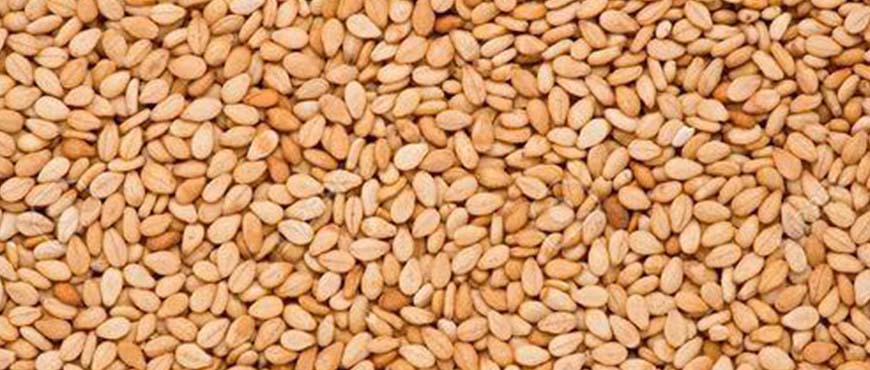 Organic Roasted Natural Sesame Seeds