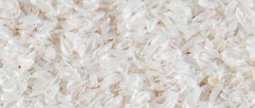 Organic Psyllium Husk