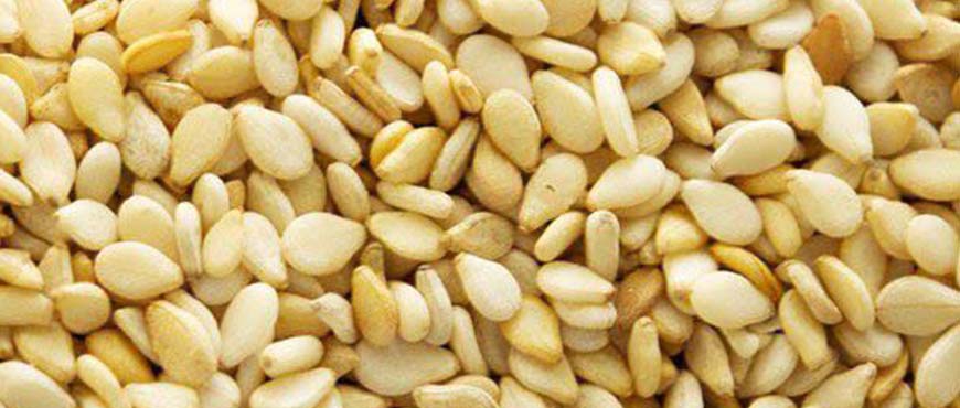 Organic Sesame Seeds