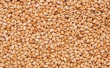 Organic Roasted Natural Sesame Seeds